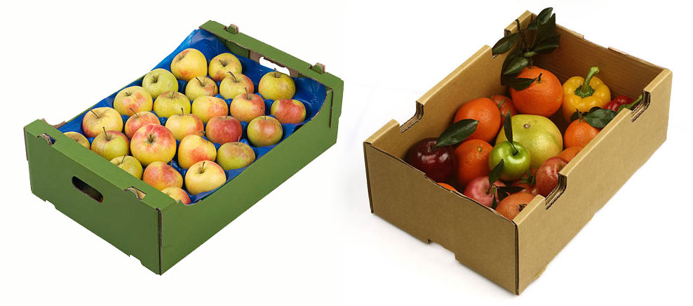carton corrugated packaging for apple