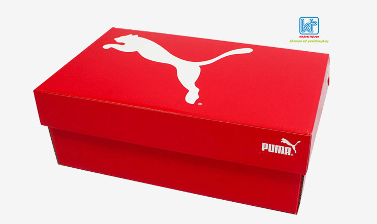 shoe box packaging