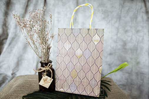 8 Types of the Kraft paper bag which honors brand beauty