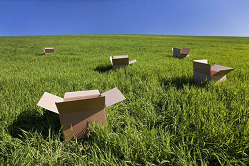 Độc đáo hộp giấy đựng giày mang hương vị... cỏ tươi