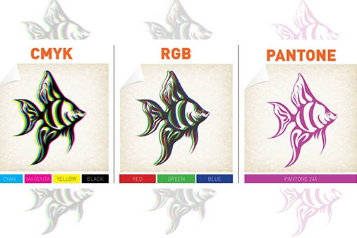 ​​Differences CMYK, RGB and Pantone systems in packaging printing industry